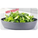 سيرفيس أركو من لمسة 2 لتر